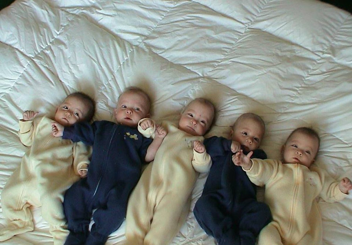 Sam Bova tweet media