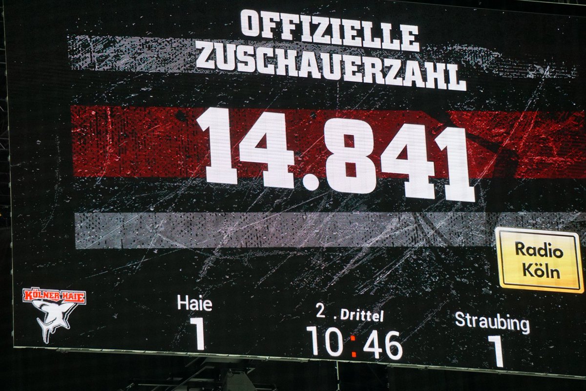 funsharks05's tweet photo. Haie drehen auf und schießen drei Tore und Weitzmann hält den Kasten sauber in diesem Drittel. Da fragt man sich warum konnten bei de 17 Niederlagen in Folge nicht mehr Tore geschossen werden, aber wenn man einmal Pech hat... #koelnerhaieofficial #straubintigers #haielive https://t.co/W0fI2jEESi