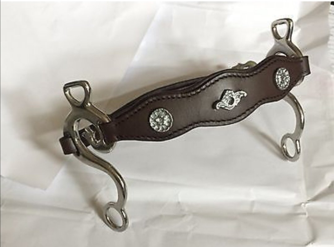 TorioxI's tweet photo. Hackamore bits with black leather and fancy hardware.
Feel free to ask anything.
Payment method:bank, western union, paypal also acepted.
#horse #spoga #stirrups #usa #germany #horselovers #horsegirl #cowboy #cowboysnation #bridle #tackshop #halter #hackamore https://t.co/mhvyj3402W