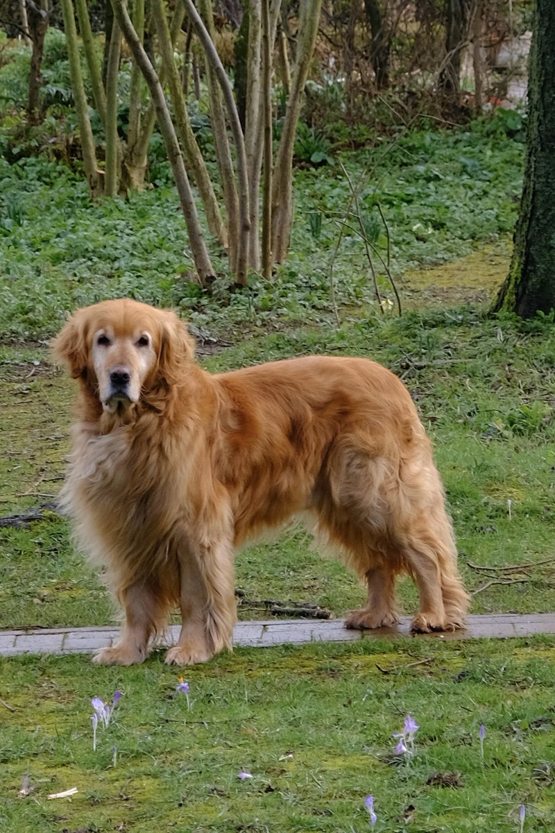 Monty Don Twitter Monty Don Twitter