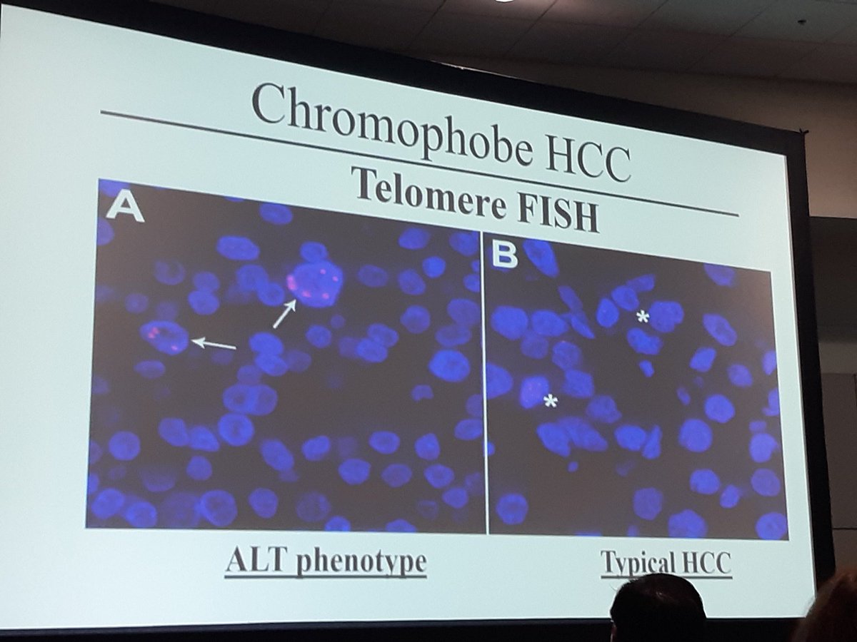 David Hernandez Gonzalo tweet media