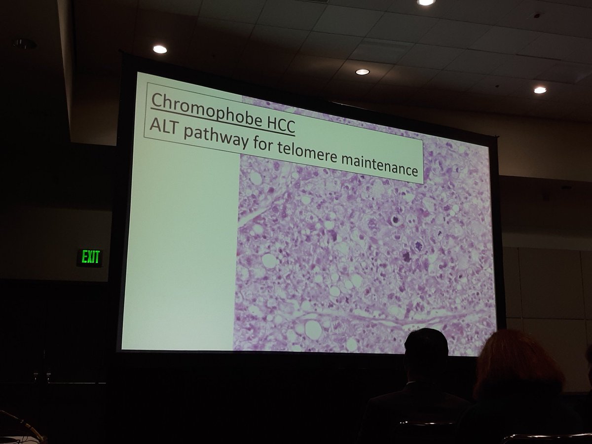 David Hernandez Gonzalo tweet media