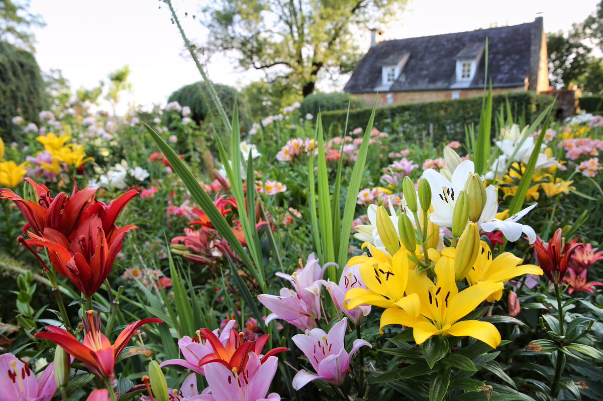 eyrignac's tweet photo. Nous souhaitons une très #bonne #fête à toutes les #Grands-Mères et nous vous offrons cette magnifique photo de #fleurs de notre #Jardin #Fleuriste 👵🏻🌺💐 #Fetedesgrandsmeres https://t.co/9MAgsxAwQU