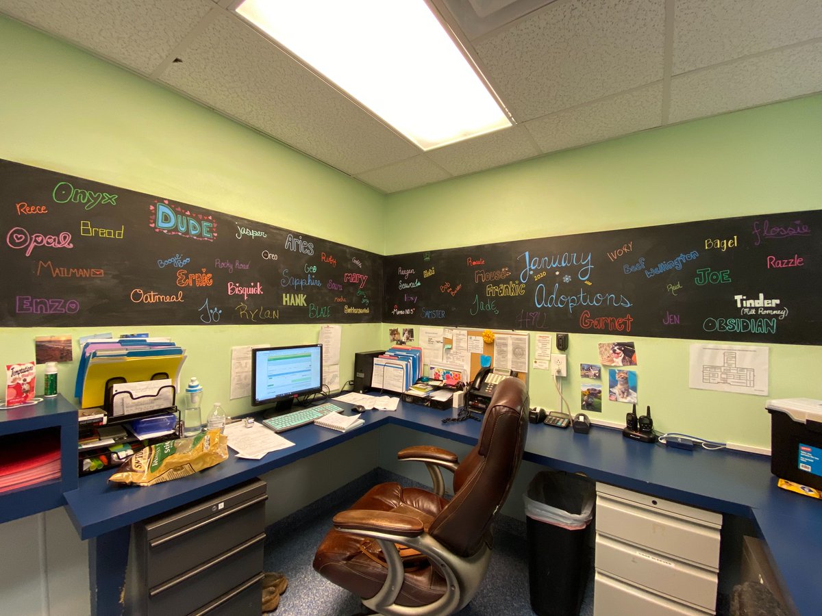 AWLQAC's tweet photo. So many amazing adoptions over the last two months. If you haven't been by the shelter to see our very crowded adoption board well here are the photos. Congratulations to all of our wonderful animals who have found a loving home. https://t.co/3kFbw6225o