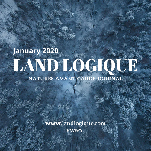 LandLogique's tweet photo. Guest authors and new thinking.  Get your edition now!
https://t.co/fdcSvIYfjD https://t.co/QmQ7jP0Eqn