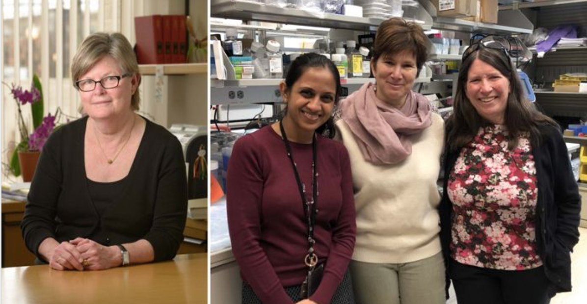 NatImmunol's tweet photo. A superb #Perspective by #SusanPierce #PamelaSchwartzberg #NiraliShah #NaomiTaylor on steps to rectify global gender imbalances at senior leadership positions. #WomeninSTEM #WomenInScience @NIH @NIAIDNews @NIAID @NIAIDCareers
https://t.co/5jTxblS0L6 https://t.co/Vk7IlqYDjt