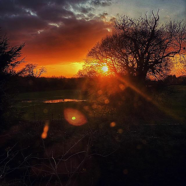 NikPickard's tweet photo. #sunset https://t.co/c0lidMYYve https://t.co/JUIDb6Biou