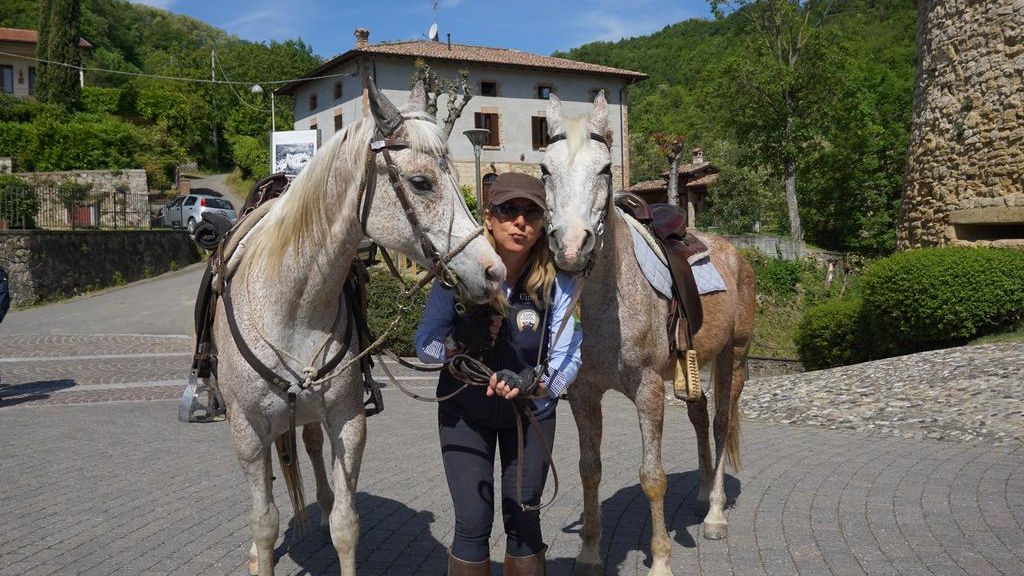 A cavallo nelle Marche, i maneggi regione per regione, passeggiate con degustazione - mailchi.mp/1f6aed272bc3/a…