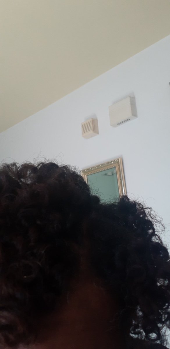 DetroitPrinces4's tweet image. My oh my, what DO I DO with these #curlz @AuntJackiesCC ?