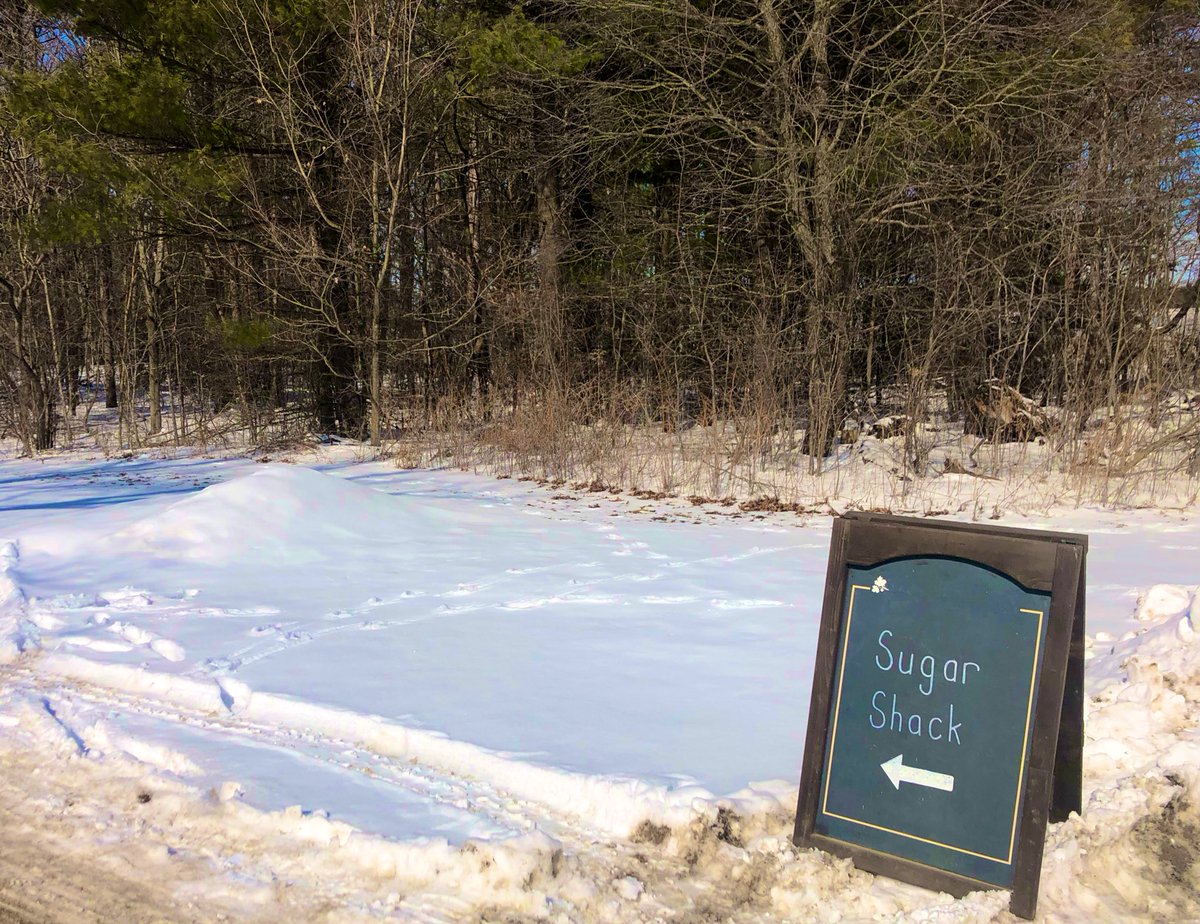 Follow the signs to the Sugar Shack here at Westfield Heritage Village to sample some fresh maple syrup! Their Maple Syrup Festival is going on until 4pm today, stop by with the whole family for a fun afternoon!