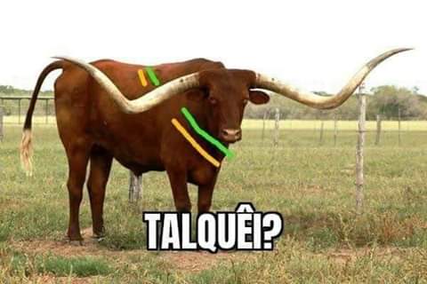 E eu achando que o rolo da MilCheques fosse com o Queiroz.  #BolsonaroCorno