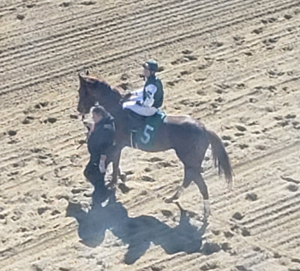 Fontaine takes R2 <a href="/LaurelPark/">The Maryland Jockey Club, Inc.</a> with <a href="/Westonhamilton6/">Weston hamilton</a> up - 1st win in over 30 years for trainer Jack Kousin