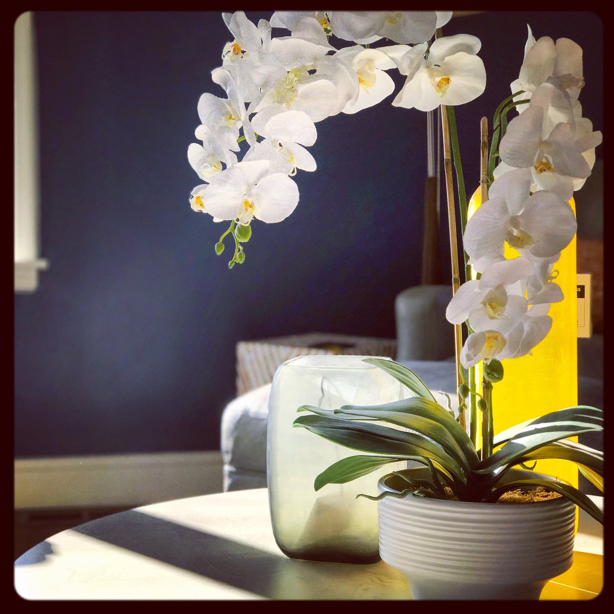 RJ_EthanAllen's tweet photo. Florals for Spring? #groundbreaking #ethanallen #eacranston #design #interiordesign #interiordesigner #ridesign #ri #rhodeisland #orchids #floral #accessories #decor #decorate #livingroom #coffeetable #livingroomdesign #rjii #barrington #barringtonri #eastbay #ethanallendesign https://t.co/XCT7UsFp8X