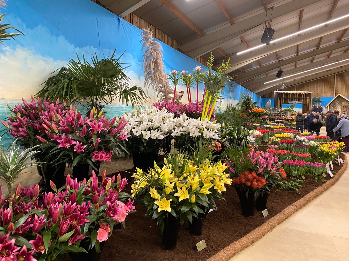 Lentetuin 2020 
#lily #lilium #tropical