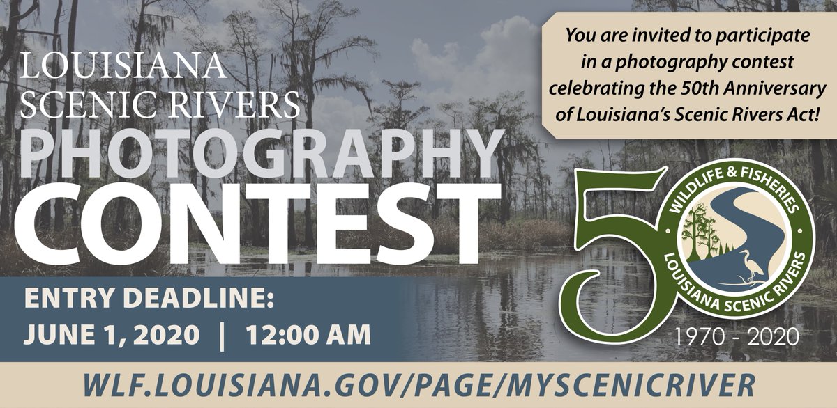LDWF's tweet photo. You are invited to participate in a photography contest celebrating  the 50th Anniversary of Louisiana’s Scenic Rivers Act! The purpose of the contest is to promote the beauty of our designated natural and scenic rivers. For details, visit https://t.co/JaXZ5ofeYB

#myscenicriver https://t.co/5McC3MQ6cZ