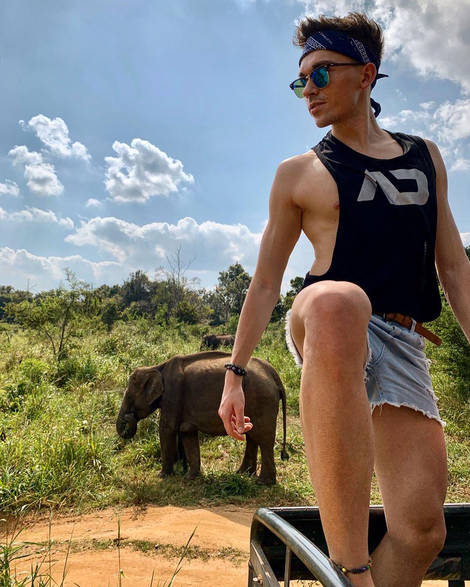 zwyczajnyboy's tweet photo. From the ruins of Polonnaruwa, through a charming safari, full of HEALTHY and happy elephants, to the most beautiful sunset on Pidurangara Hill #wordisbeautiful 
#srilanka #srilankatravel #polonnaruwa #sigiriya #safari #elephant #pidurangala #sigiriyarock #theview #beautifulview https://t.co/27P9ChkQSP