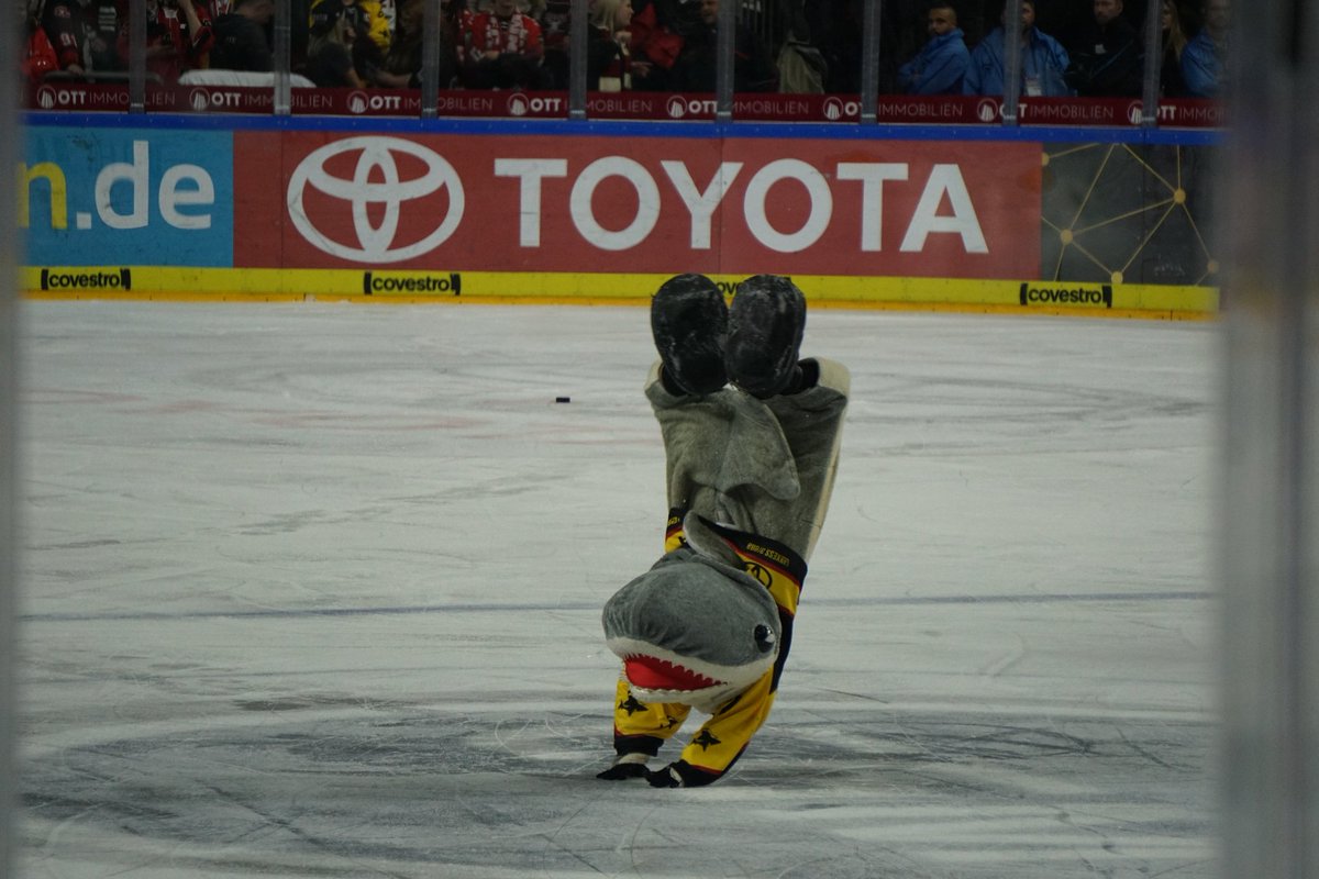 funsharks05's tweet photo. Schiri Entscheidungen wieder sehr gegen die Haie. EIN Tor noch für die Haie und somit 4:1 Endstand. Da Augsburg heute gewonnen hat, ist die Saison quasi dennoch vorbei #koelnerhaieofficial #straubintigers #haielive #aufgehtsHaie https://t.co/XxSZJ6yK6q