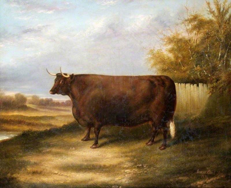 DiezTamayo's tweet photo. El rectangularismo bovino sin duda mi corriente artística favorita https://t.co/SSZLOkbjg7