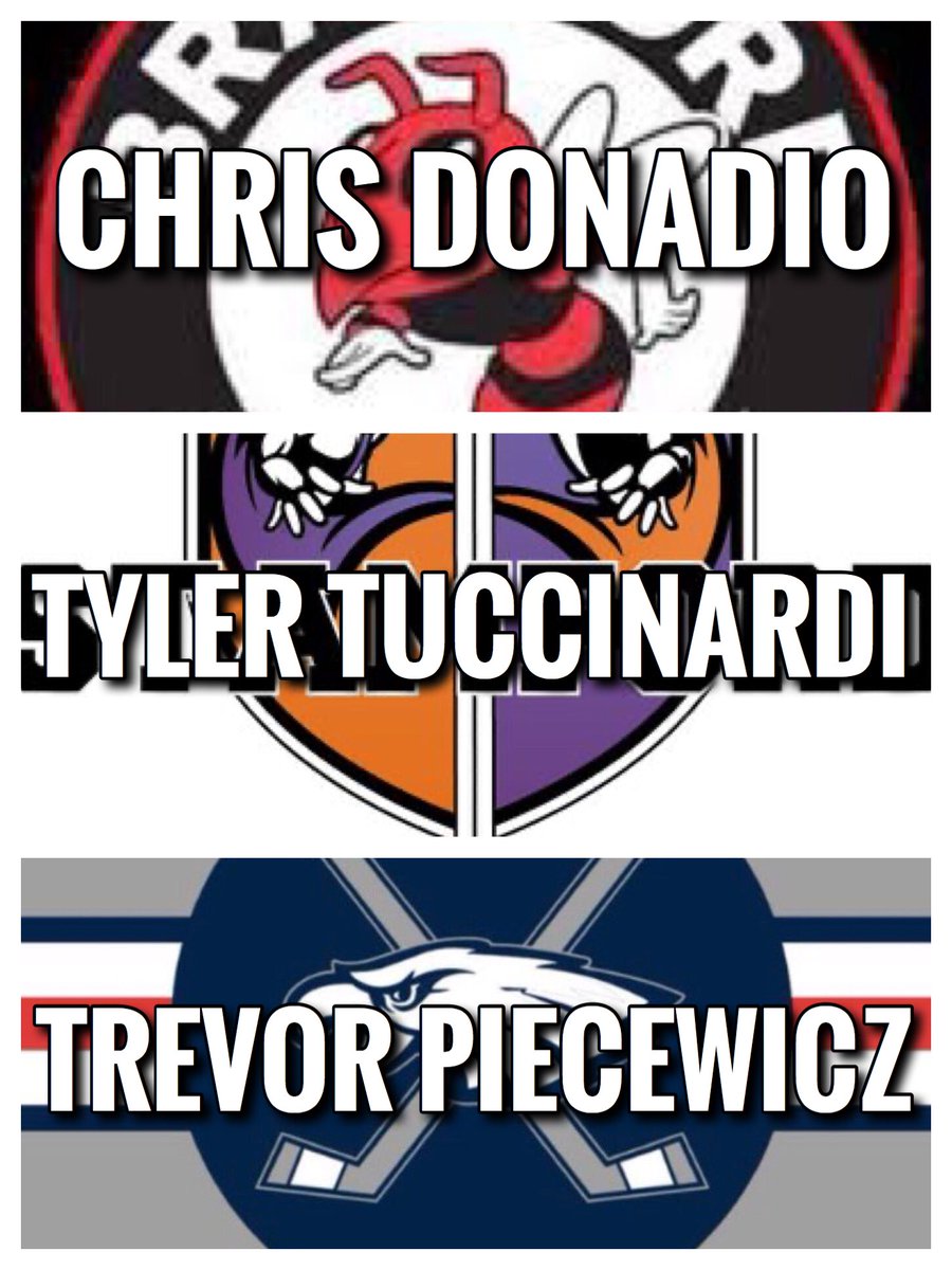 CTHSHockey's tweet photo. Now it’s time for the DII Defenseman of the Year nominees presented by @IPHHOCKEY1! 

Chris Donadio (Branford)
Trevor Piecewicz (WMRP)
Tyler Tuccinardi (Westhill-Stamford)
#cthk https://t.co/Utavl0guOl