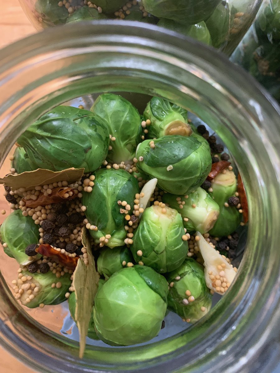 These fresh local brussels sprouts are being pickled just for our honey eatery bloody Mary’s... and there’s no better time than a sunny Sunday morning for a bloody Mary! 

Come try one out￼￼￼￼￼! 😁

#EatINW #Brunch #BloodyMary #BrunchCocktails #HoneyEatery