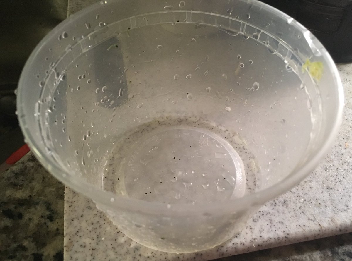 every single-use plastic I use in 2020 tweet media