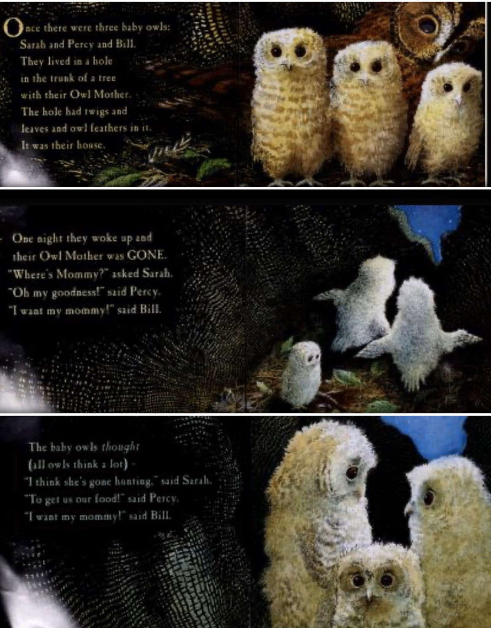 Martin Waddell Quotes 100 Uplifting Quotes About New Beginnings