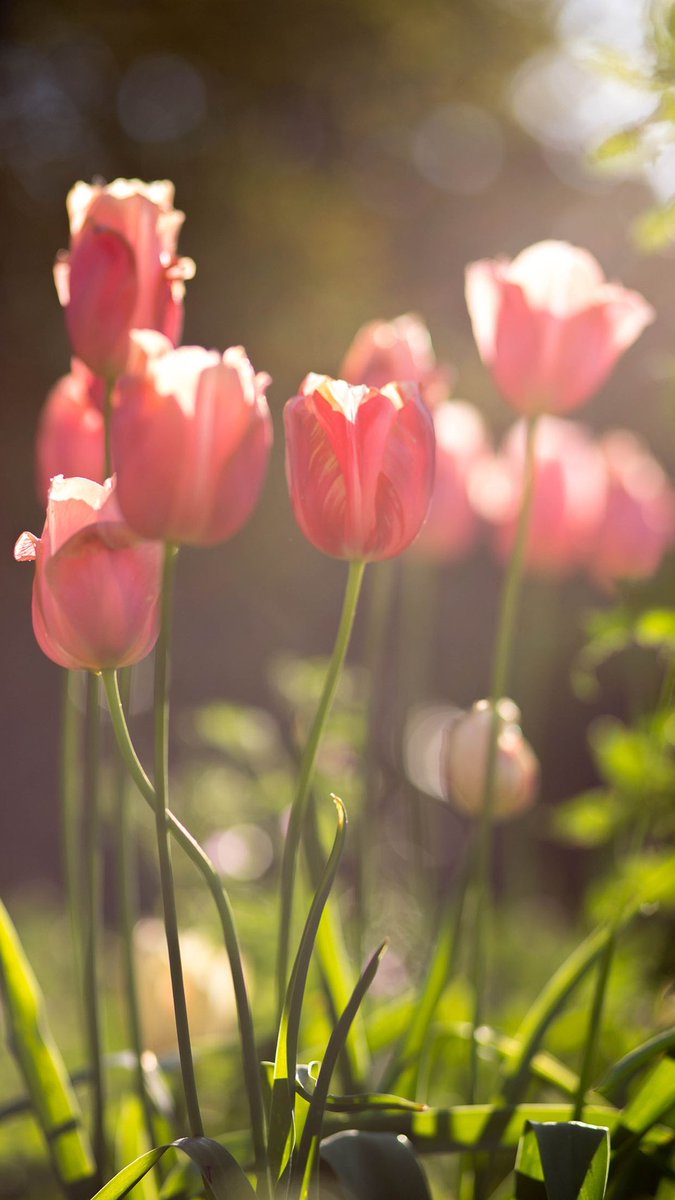 가슴에 핀 꽃
 
휘이-
사람들은 바람소리라고 한다
그대를 부르는 내 마음인 걸
 
쏴아-
사람들은 파도소리라고 한다
그대에게 드리는 내 마음인 걸
 
가슴에 핀 꽃
사람들은 그런 건 없다고 한다
늘 내 가슴에 피어있는 그대를
 
- 홍광일, '가슴에 핀 꽃'

bit.ly/2VgpL3j
