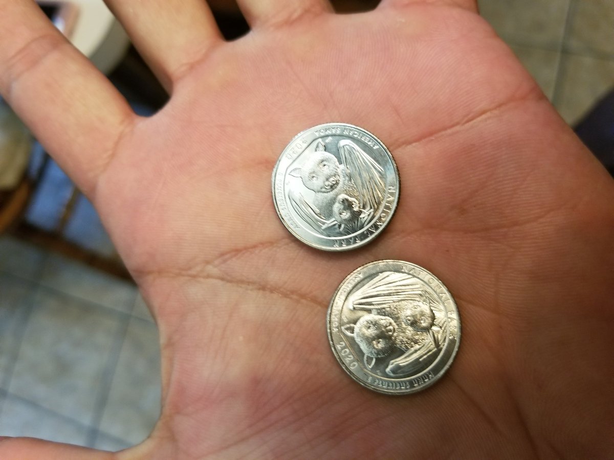 GuardianAdrian's tweet photo. You know what's funny?!? With that coronavirus happening. They chose to put bats on the face of the new 2020 quarter. #CoinLover https://t.co/gP98AVgF1v