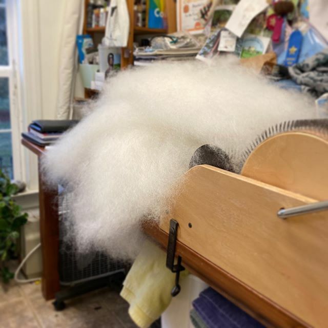 crazysheeplady's tweet photo. I always forget how much I enjoy processing wool. Working on a Shave ‘Em To Save ‘Em order this afternoon 😍. .
#cotswold #livestockconservancy #shaveemtosaveem #drumcarding #woolprocessing #wool #longwool https://t.co/XDxTZtIs4p https://t.co/R2orX2WtSZ