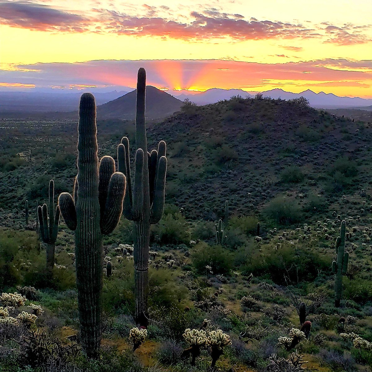 If this isn't a perfect #Arizona sunrise, we don't know what is. ♥☀ Thanks to an amazing #FOX10Phoenix viewer for sharing this with us!! 🌵🙏