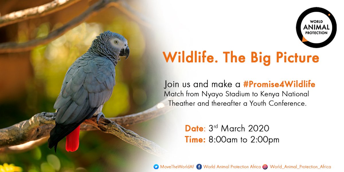 MoveTheWorldAF's tweet photo. Will you make a #Promise4Wildlife ?

Join us to remind the world just how important wildlife is to our eco-system.

Updates to follow... https://t.co/siWWnrQUmK