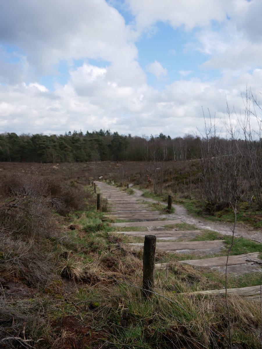 Ren voor hun leven tweet media