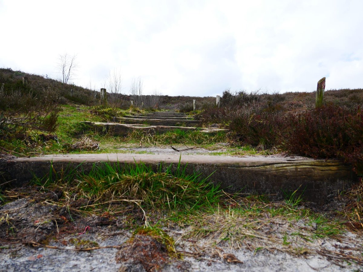 Ren voor hun leven tweet media