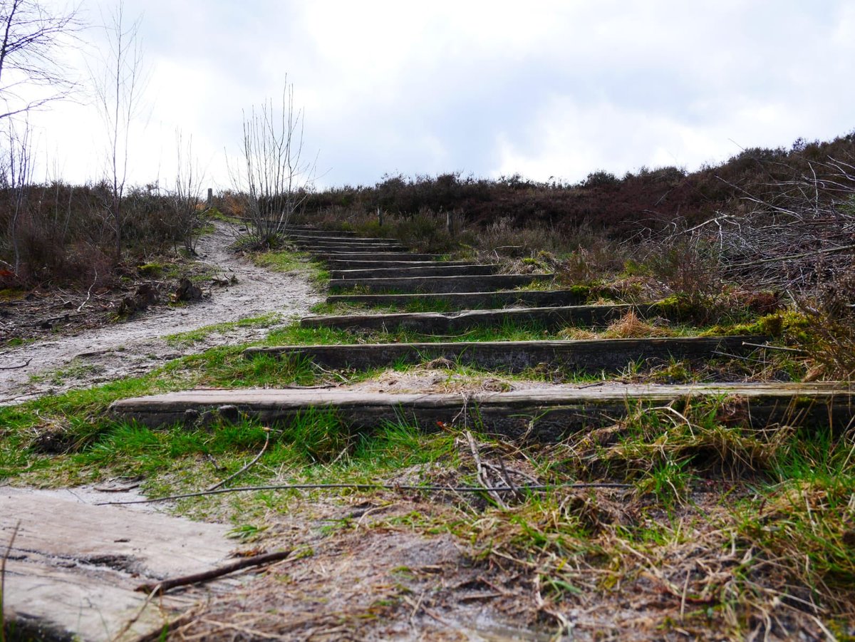 Ren voor hun leven tweet media