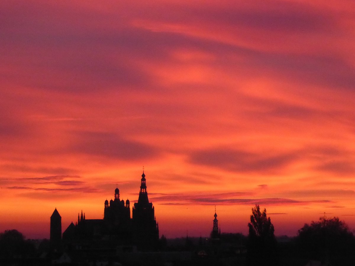 Tom de Laat tweet media