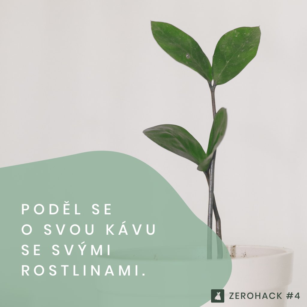 Zjisti si, jestli tvoje rostlinka ráda kafe a pokud ano, příště vodu z filtru místo do odpadu vylij do květináče. 🌷💚 #Udrzitelnost