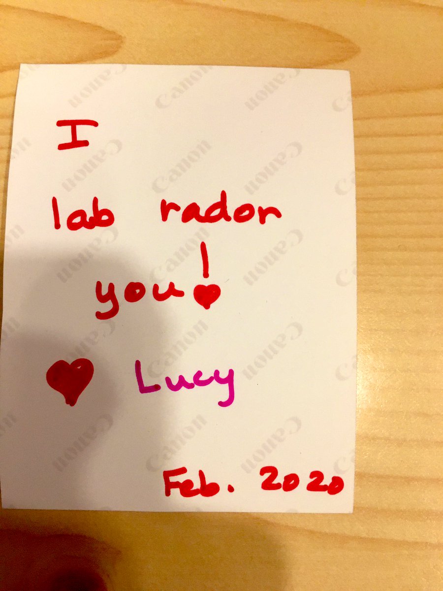 bravodri's tweet photo. Our returning guests Mrs. Davis and Lucy left a great photo/note for our amazing night auditor Kat! Just another example of the great customer service she provides! #Diamondelitestatus #diamondcareers #Lifeatdiamond https://t.co/xEgqaFGzFX