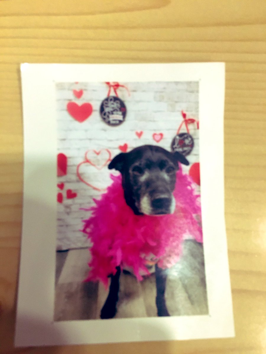 bravodri's tweet photo. Our returning guests Mrs. Davis and Lucy left a great photo/note for our amazing night auditor Kat! Just another example of the great customer service she provides! #Diamondelitestatus #diamondcareers #Lifeatdiamond https://t.co/xEgqaFGzFX