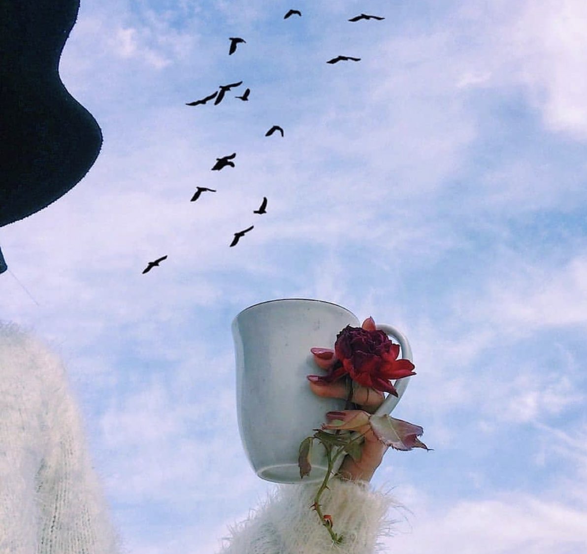 يارب الخيال والواقع يتبادلون الادوار

 #الحياه_تبي_منك