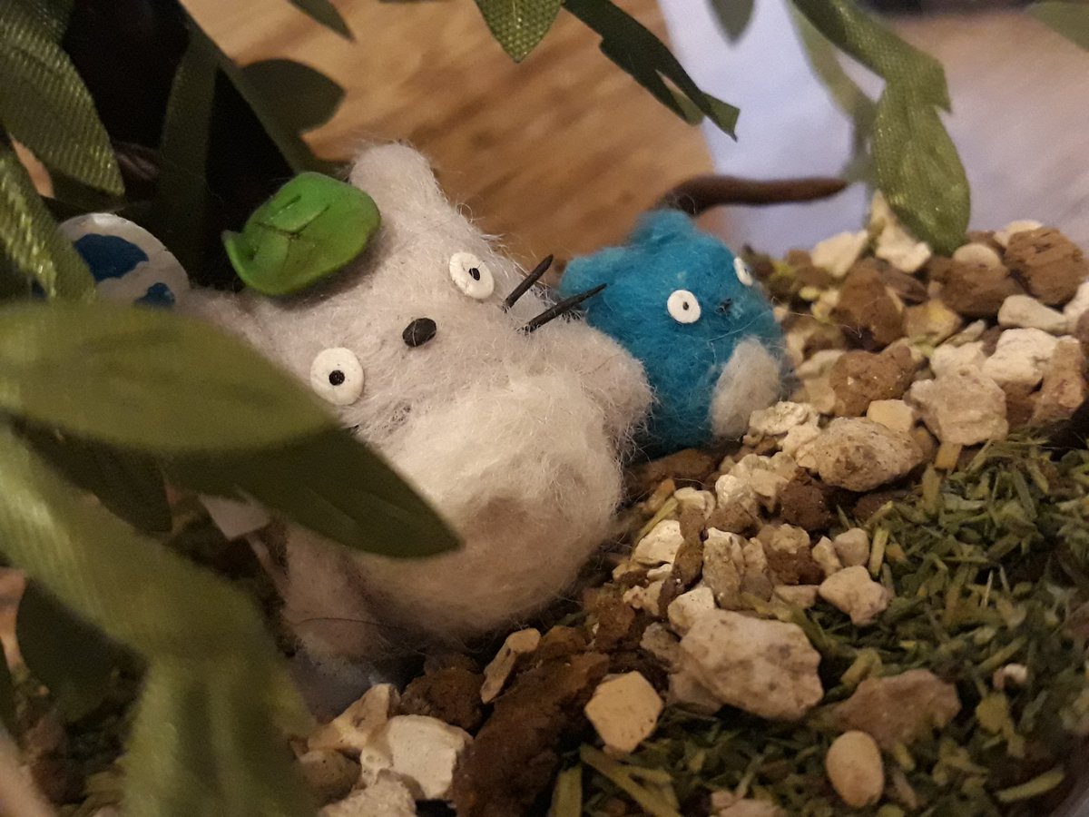 KhaleesDen's tweet photo. Terrarium Totoro
#craft #felting #totoro #miyazaki #terrarium https://t.co/dazLHsVKnQ