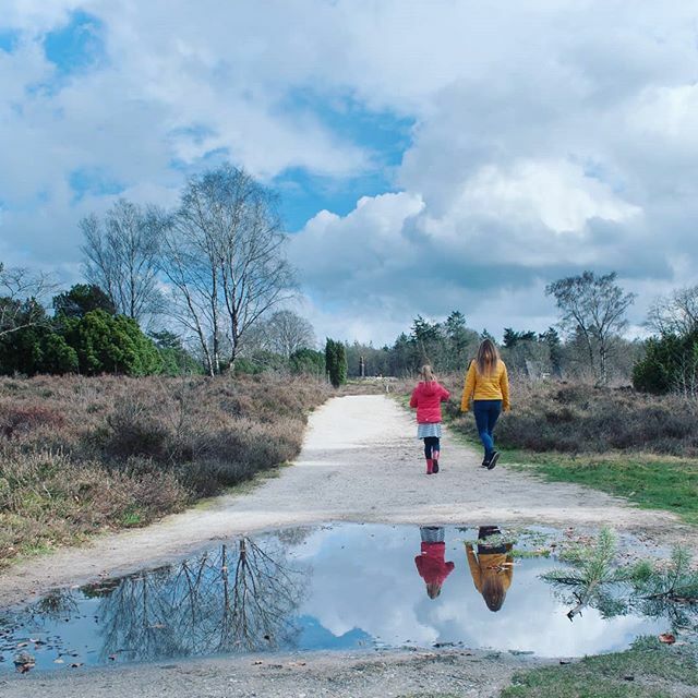 bjurrun's tweet photo. First day of spring, or so it seems :-) no drawing today. But this hike is inspirational! Almost zero editing for this image. 
#photooftheday #hiking #nature #woods #reflections #photographylovers #visitholland #overijssel #hiking🌲 #hikingculture #photos https://t.co/duvoQ8LW34 https://t.co/dRIsU4QPtz
