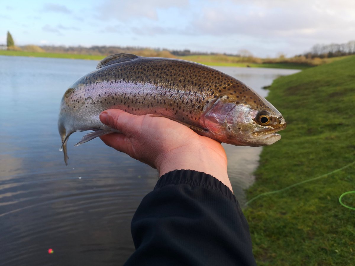 ILukeThomas's tweet photo. Great Saturday for the members opening day at Ynysyfro Reservoir. It was hard going in the morning bbut it soon picked up. #ynysfro #stockiebasher https://t.co/fJiO5A6cyR