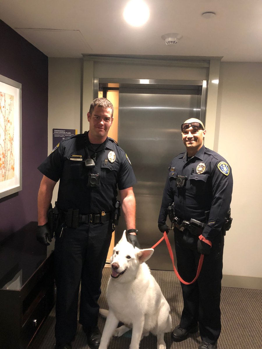 During a welfare check radio call in Barrio Logan, our officers helped out a bedridden woman by taking her dog ”Dasher” out for a quick potty break after the call was handled. 

Just one example of how we serve EVERY day! Thanks for letting us share it with you.