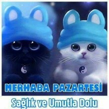 Serdar00150416's tweet photo. #YeniProfilResmi https://t.co/G9oSE7z9WI