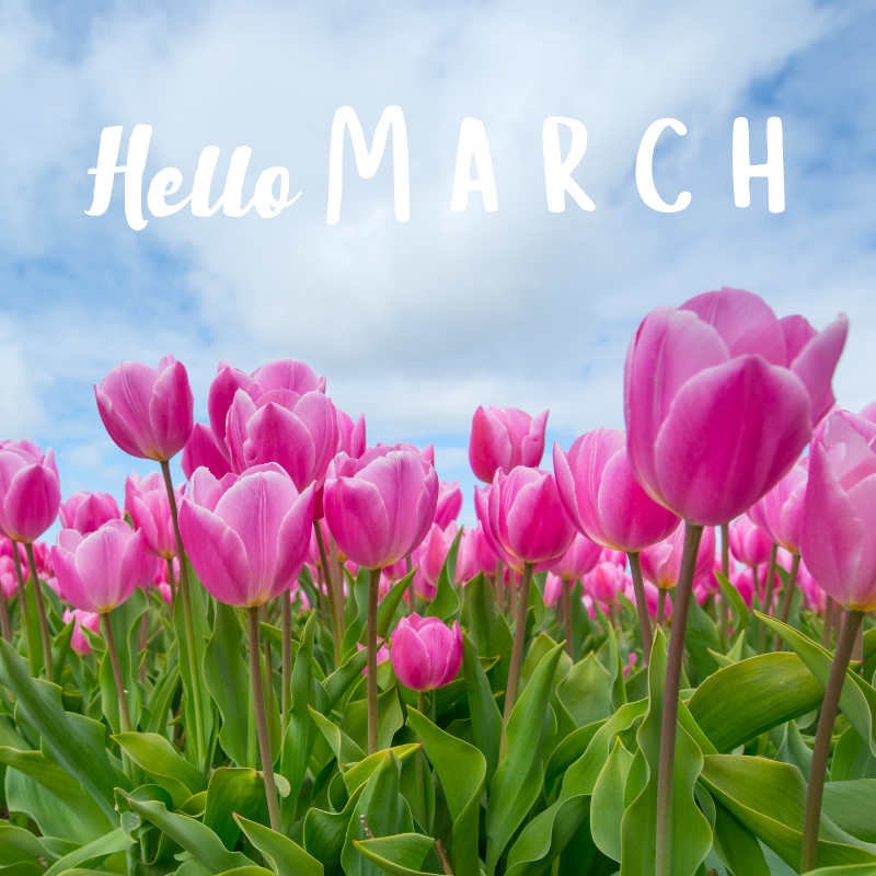 Wishing a #Happy #March to all of our Steadfast Followers! 🌷