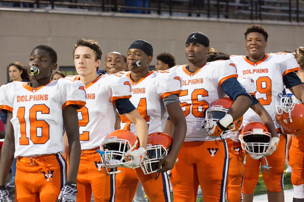 Blessed to be Alive and be a Dolphin! 🐬🙌