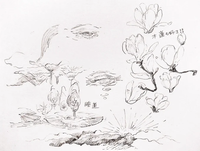 おはようございます!
今週も無理なくいきましょう?

(昨日の寝る前の落書き一部です。
鯨の目は怖いとよく聞きますが、私は好きです。) 