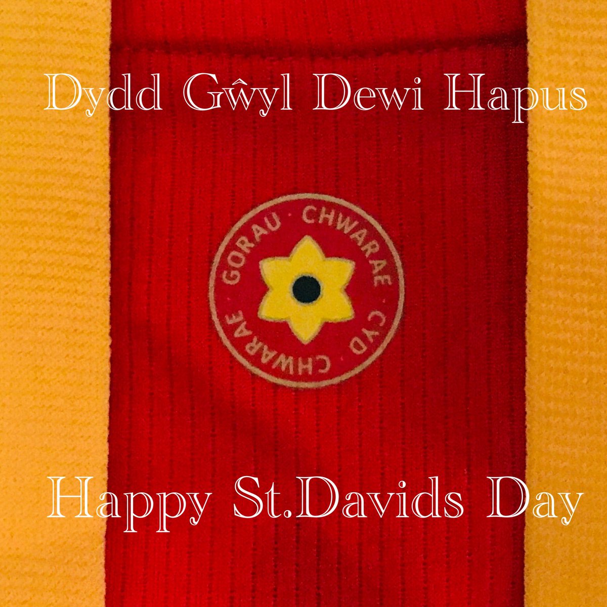 Better late that never, I knew that daffodil 🌼 in the new shirt would come in handy. Happy St.Davids Day #DyddGŵylDewi #StDavidsDay