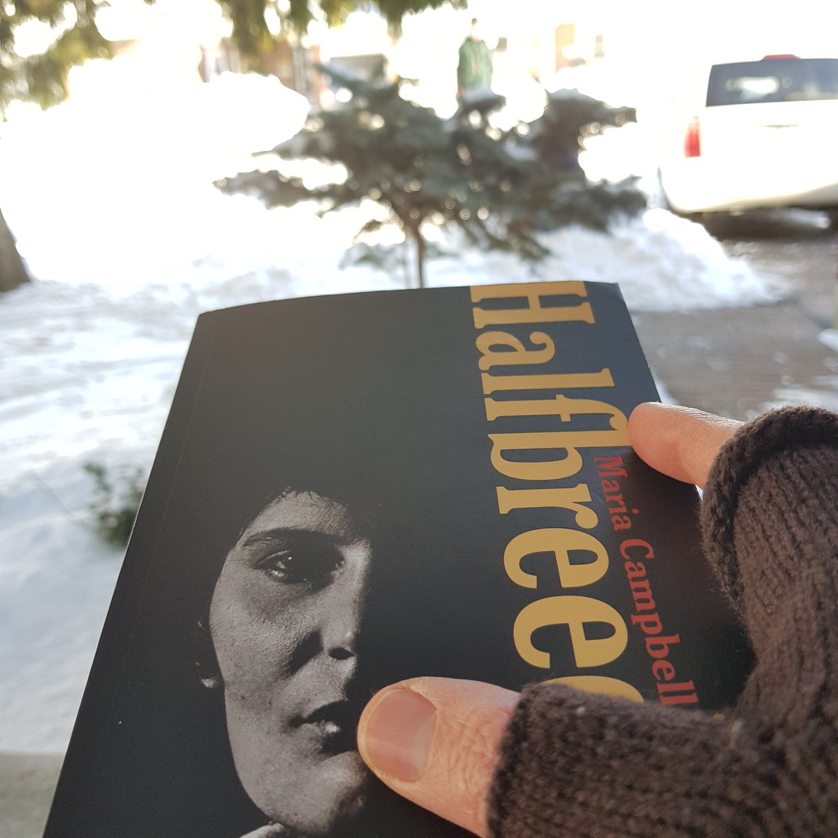 ntweedie's tweet photo. Winter reading #indiglit #mariacampbell https://t.co/WIcQ63Abu4