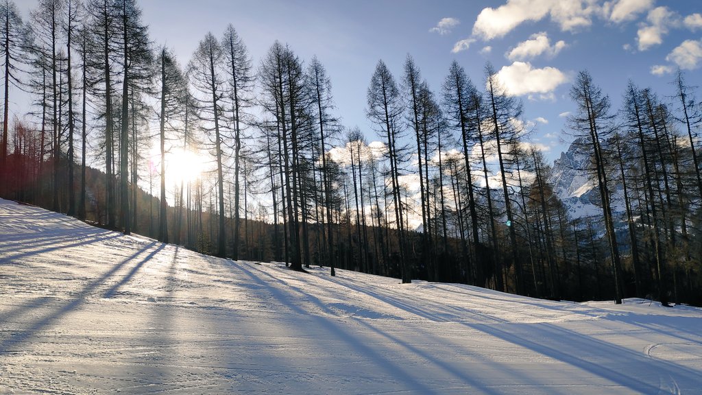 _Al3ssia_'s tweet photo. Sesto ⛷️🏔️🚠 piste enormi, libere, senza confusione. Ti porto nel cuore ♥️ #sexten #feb2020 #ioelaneve #sciarechepassione #soleeneve #ombre #naturaaltop https://t.co/uxe4R18Jjq